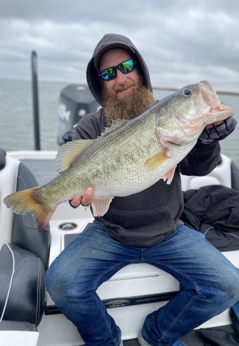 Bearded man in gray hoodie and sunglasses holding massive bass on cloudy day