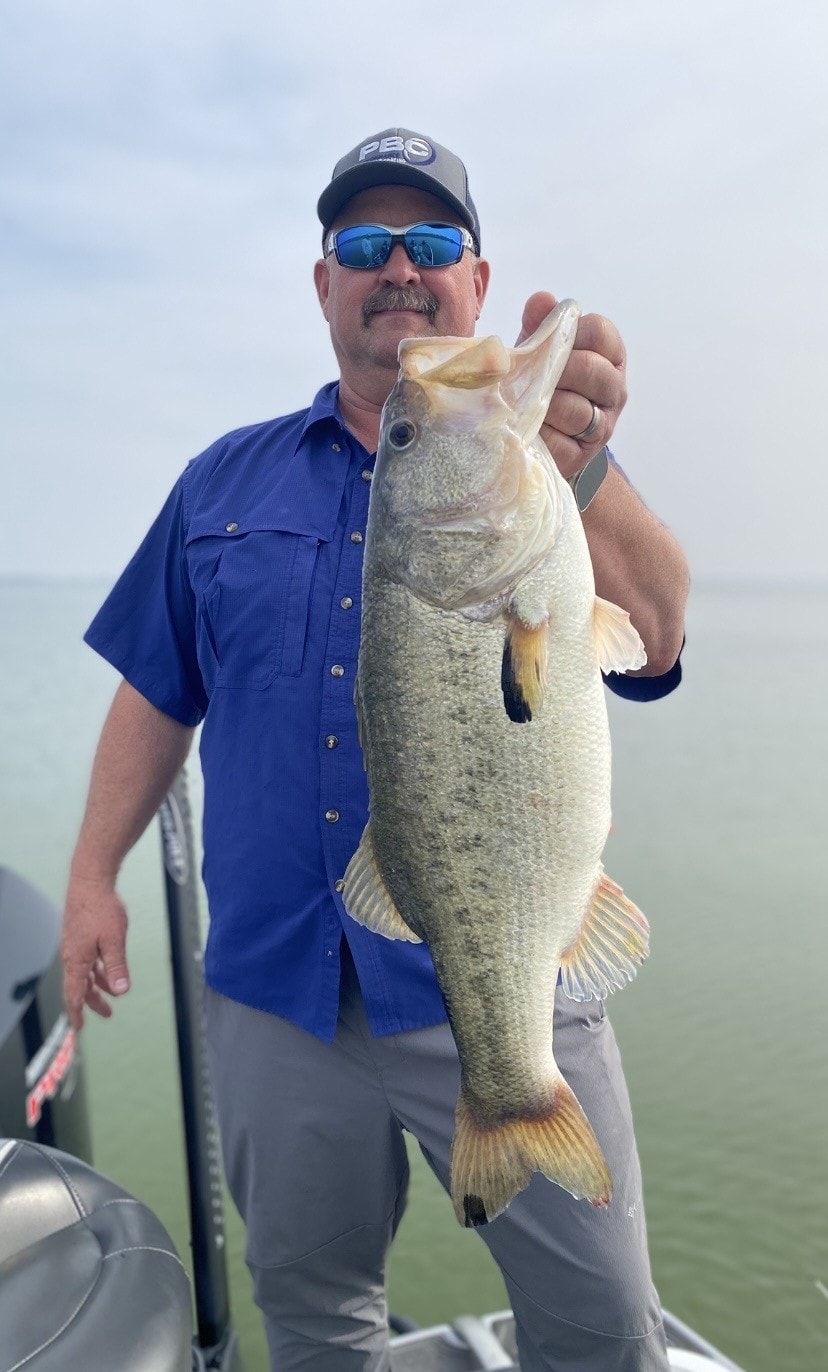 Angler in blue shirt holding largemouth bass