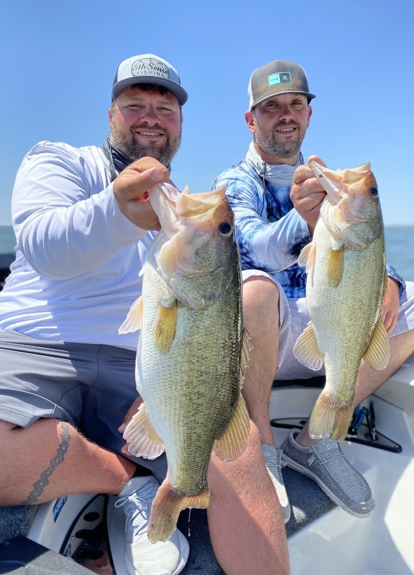 Two men holding three large bass on sunny day
