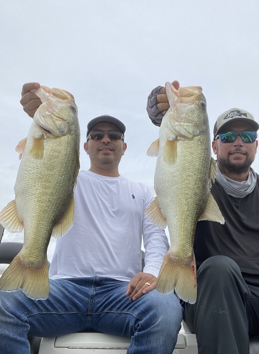 Two men holding large bass each on cloudy day