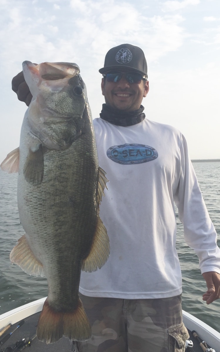 Man in O-Sea-D shirt holding giant bass on boat