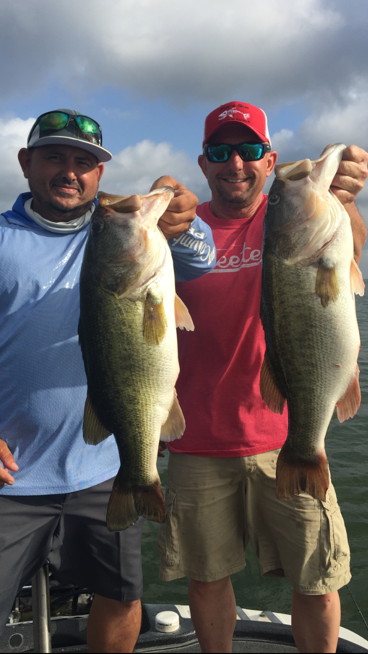 Two men holding two massive bass on cloudy day