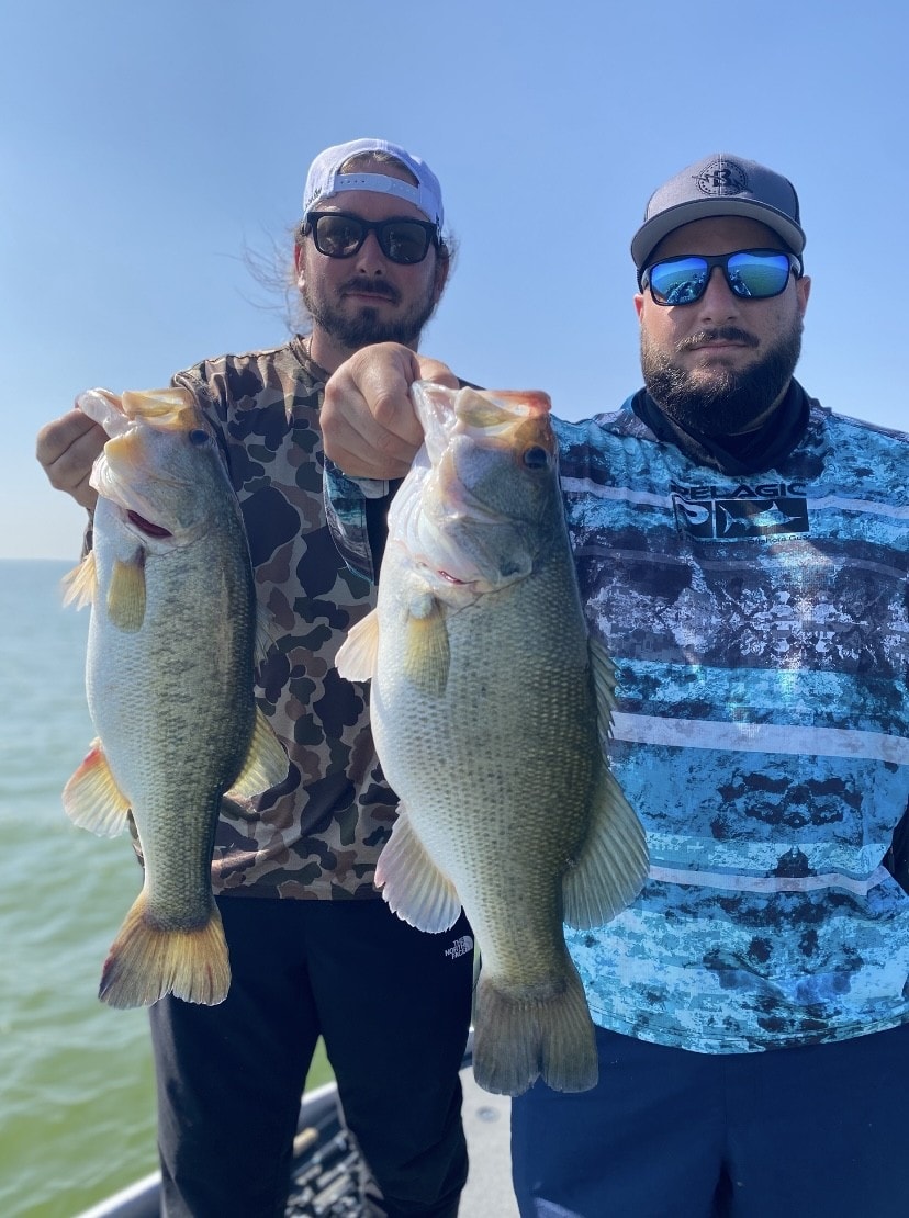 Two anglers each holding two bass on sunny day