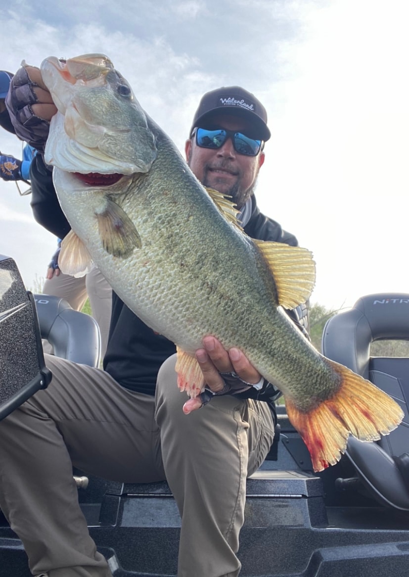 Man in Waterland cap holding massive bass on Nitro boat